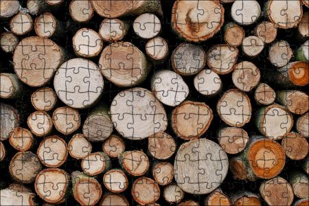 Реалізація деревини: робота біржових агентів